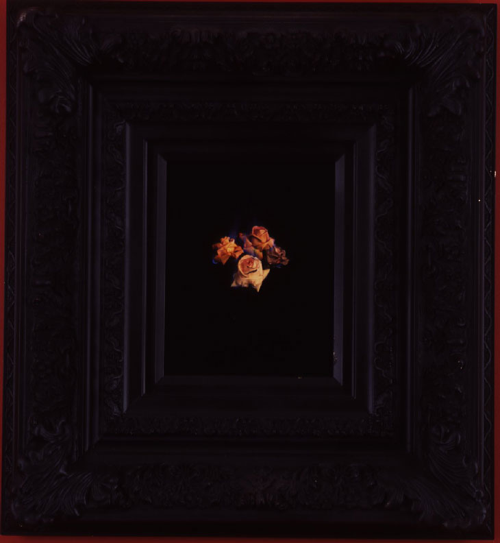 Mat Collishaw Burning Flowers I Contemporary Art